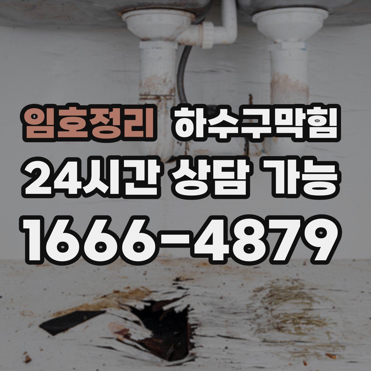 임호정리 하수구막힘