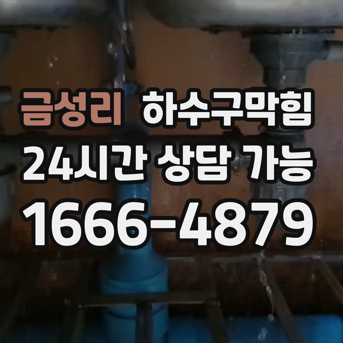 금성리 하수구막힘