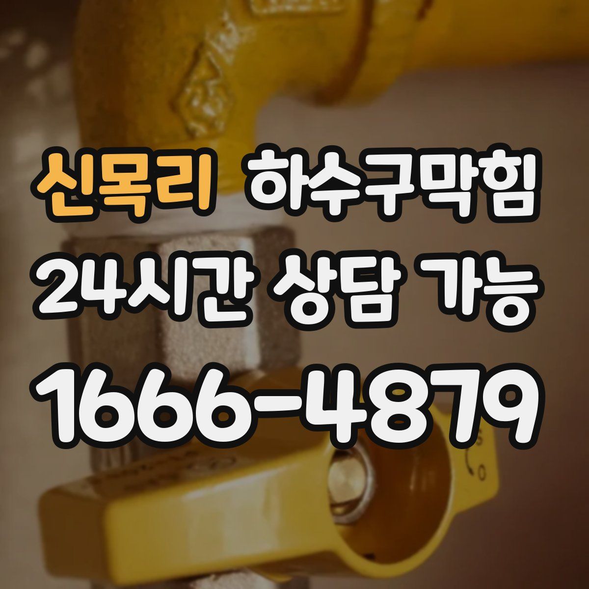 신목리 하수구막힘