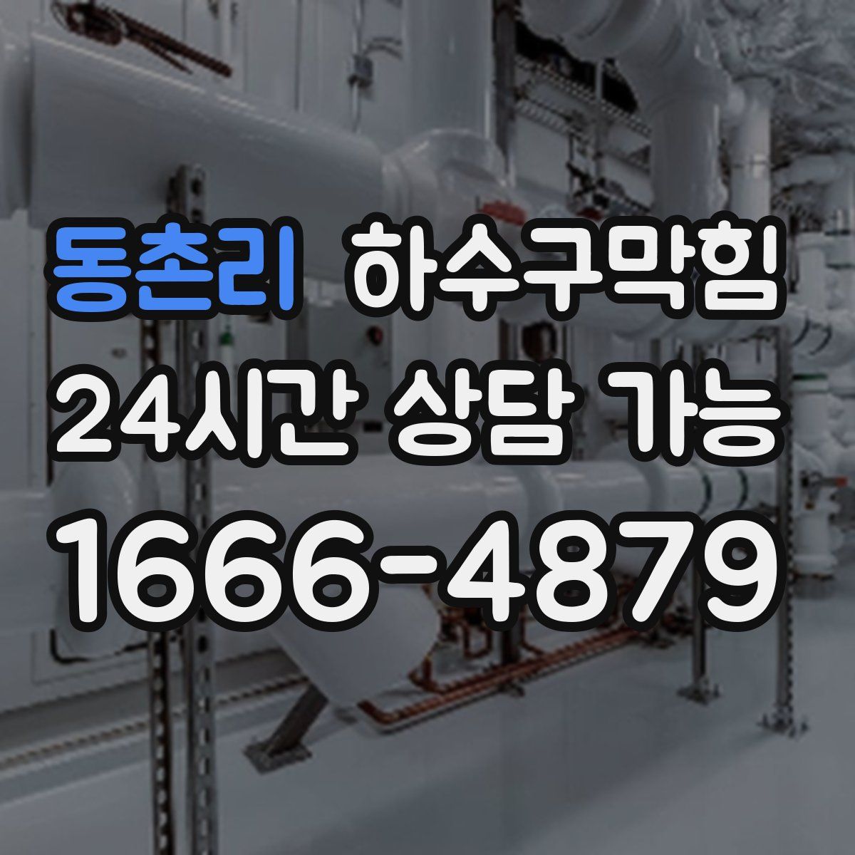동촌리 하수구막힘