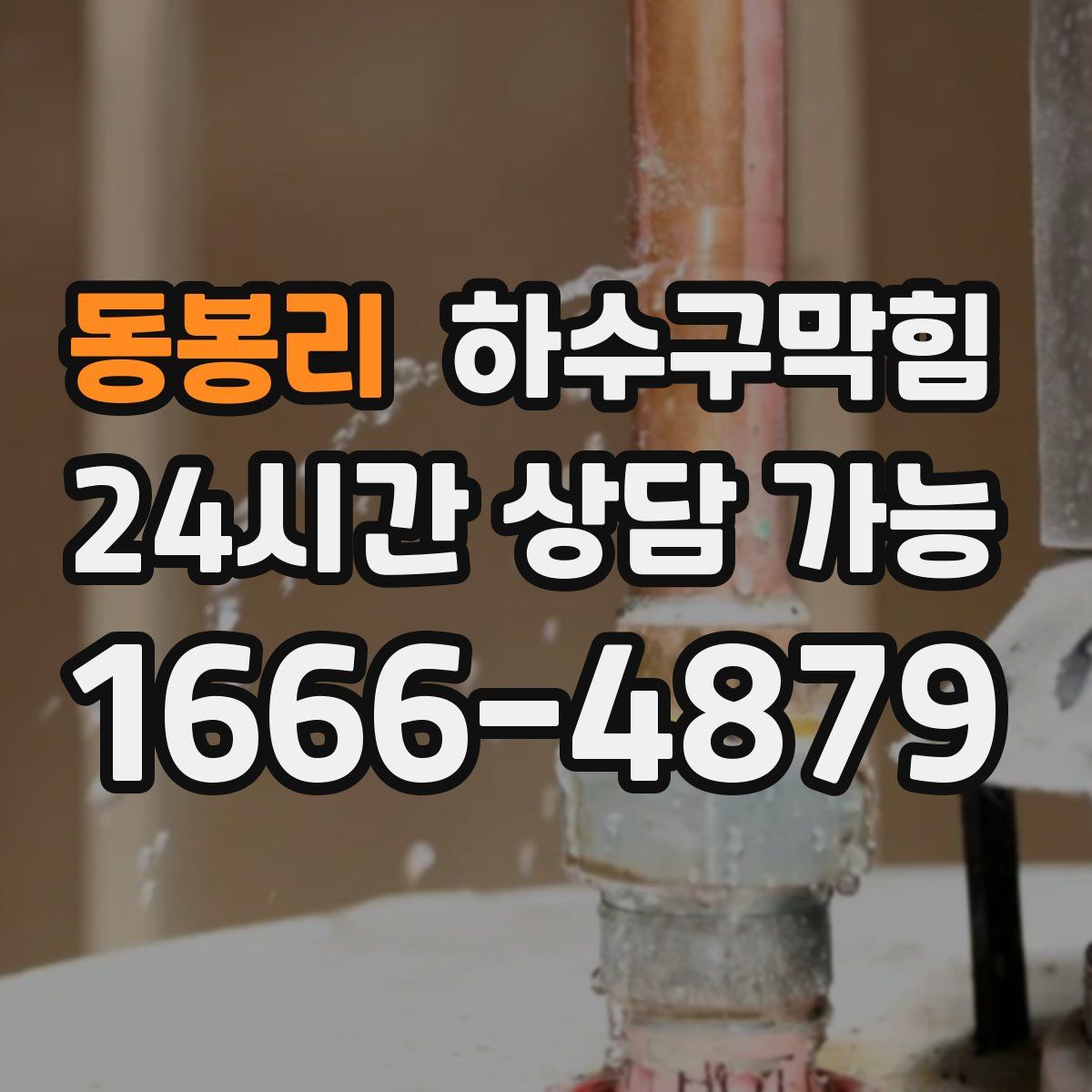 동봉리 하수구막힘