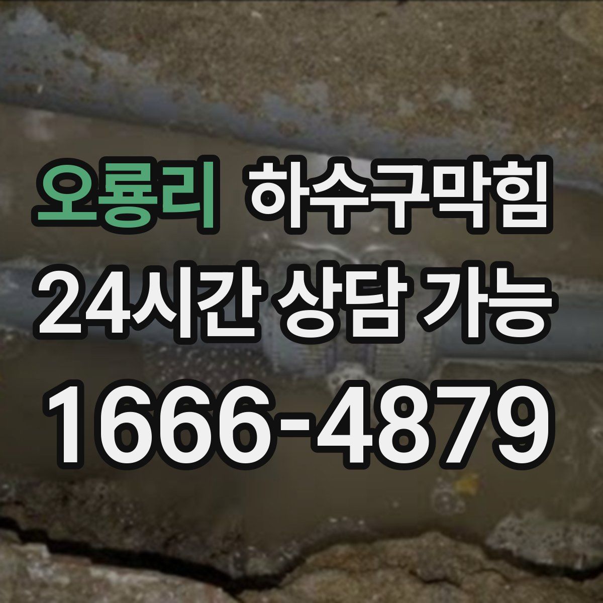 오룡리 하수구막힘