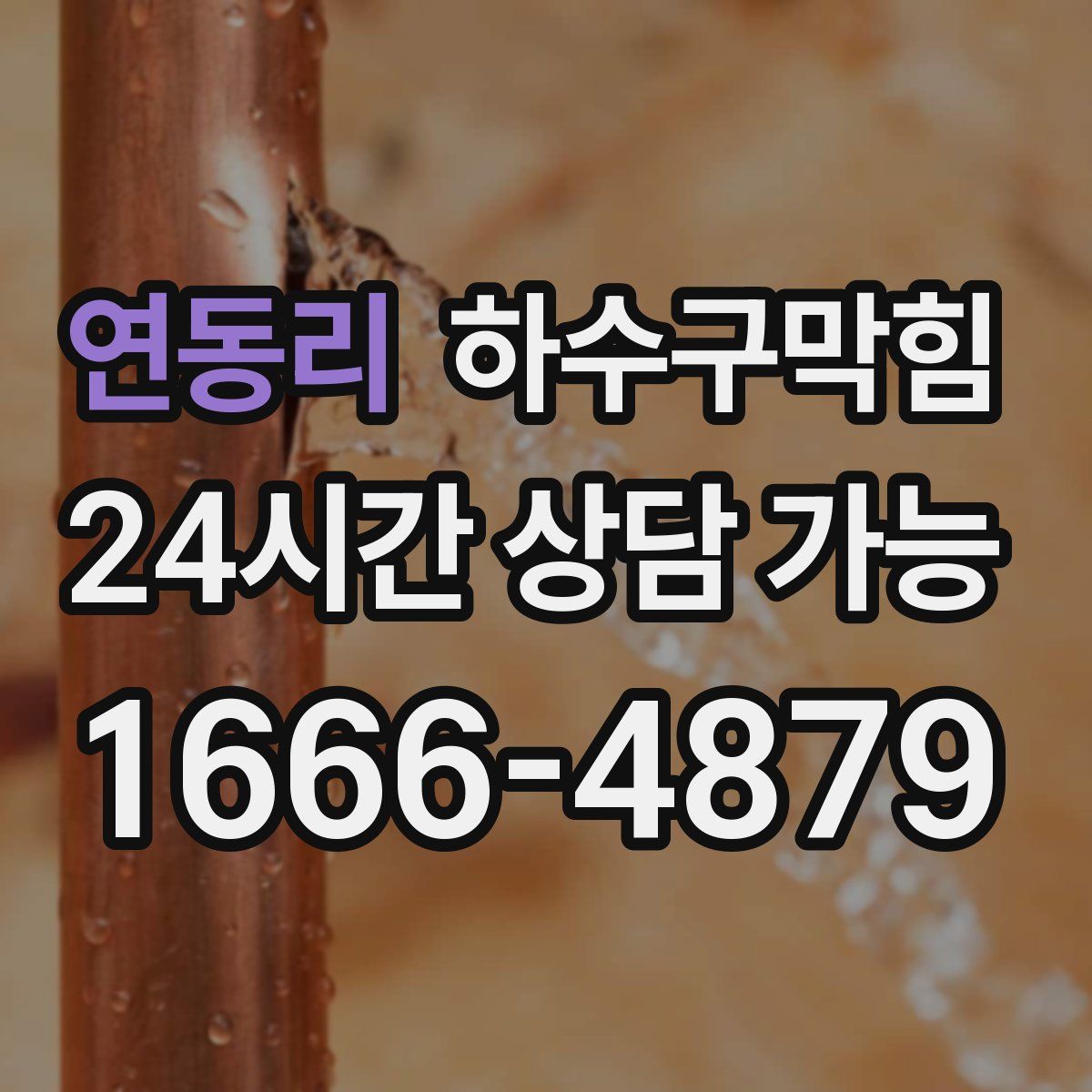 연동리 하수구막힘