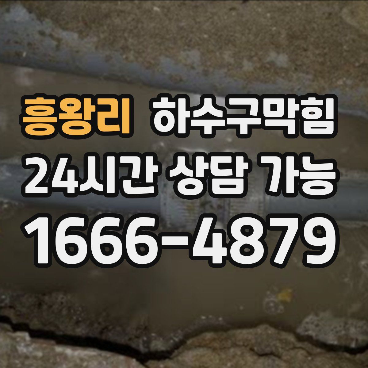 흥왕리 하수구막힘