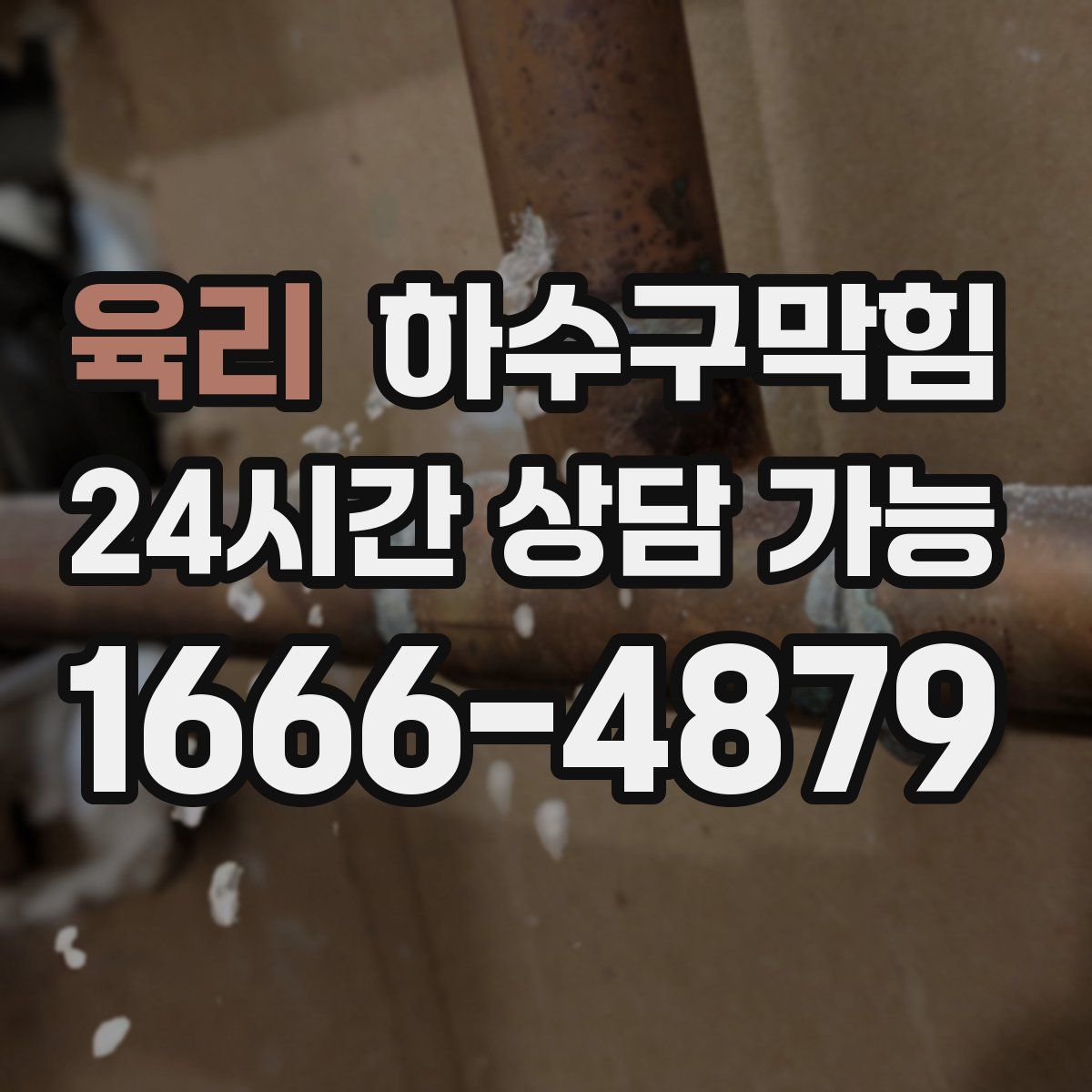 육리 하수구막힘