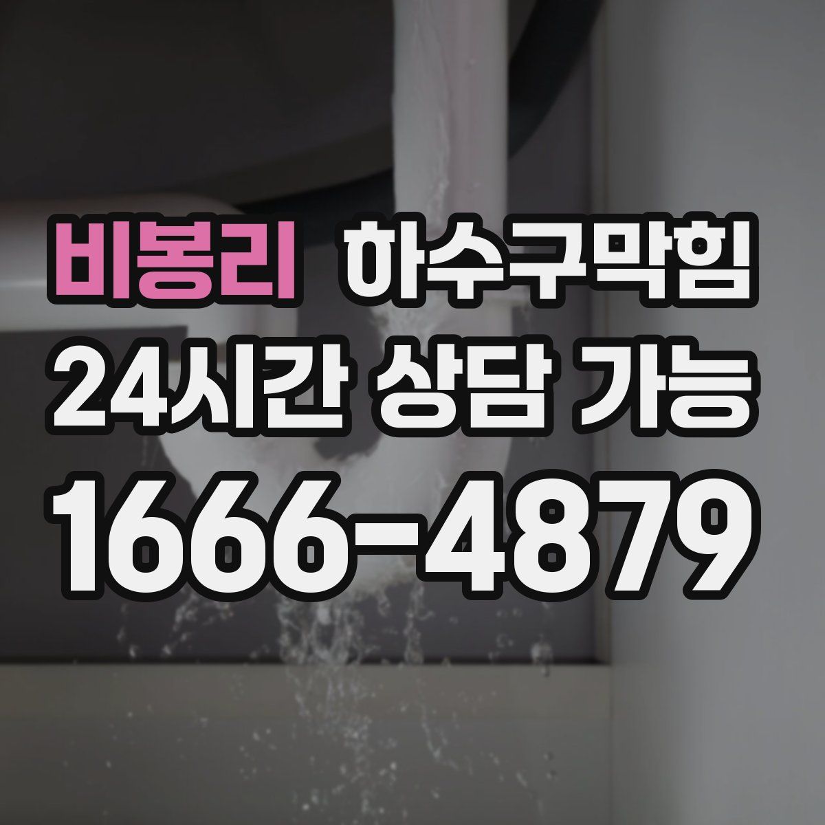 비봉리 하수구막힘