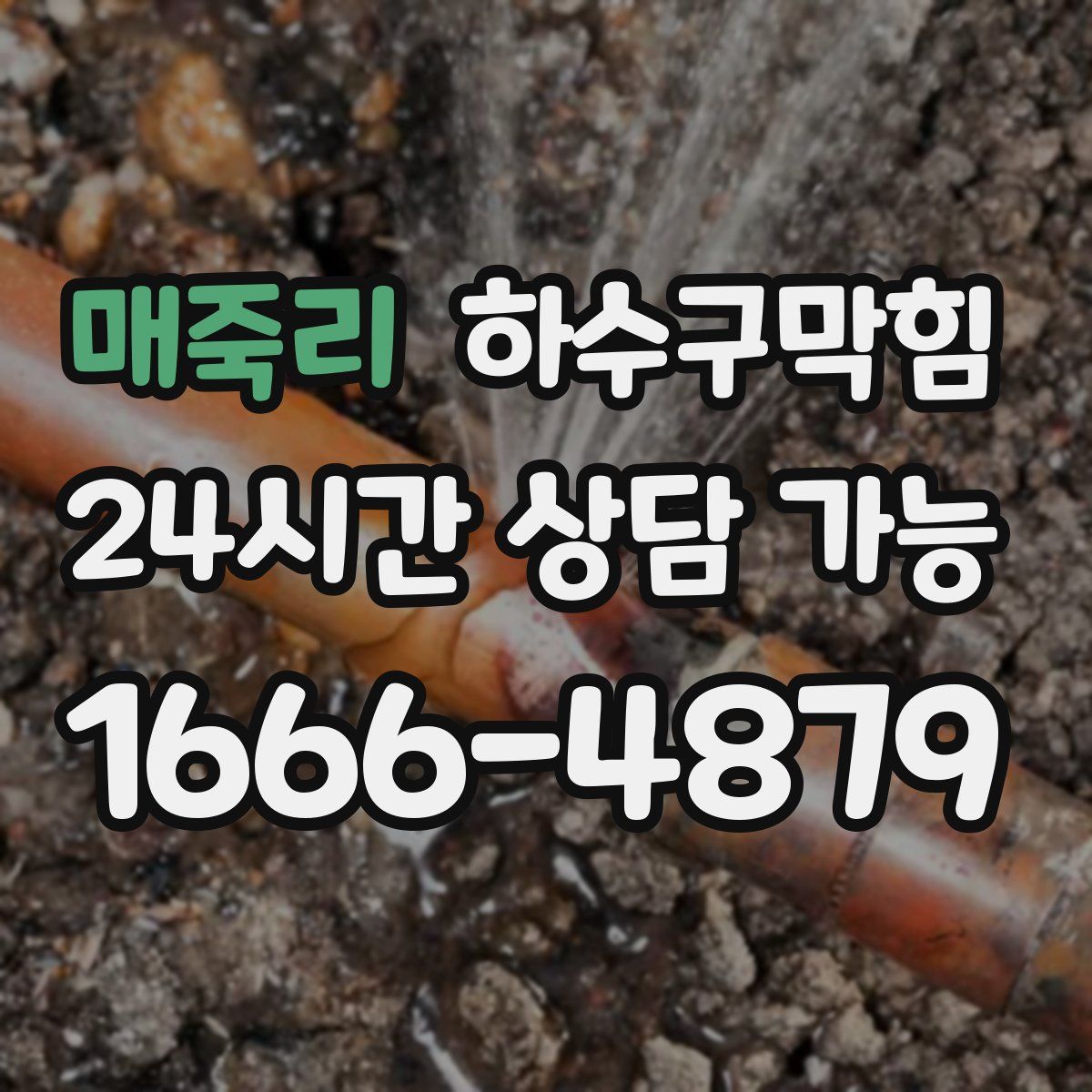 매죽리 하수구막힘