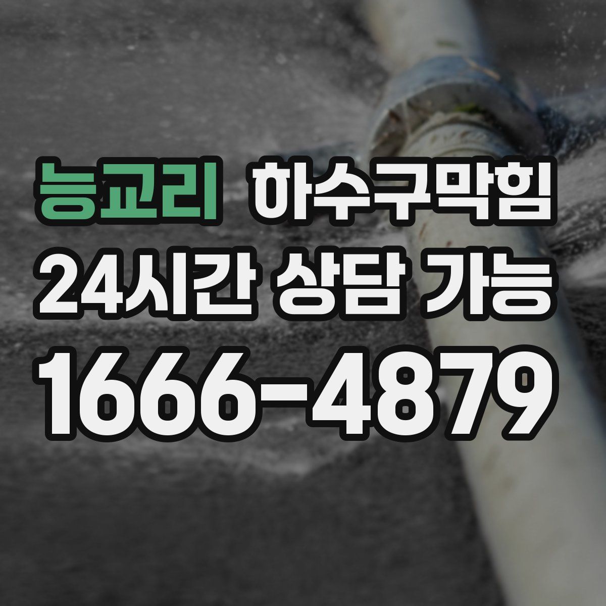 능교리 하수구막힘