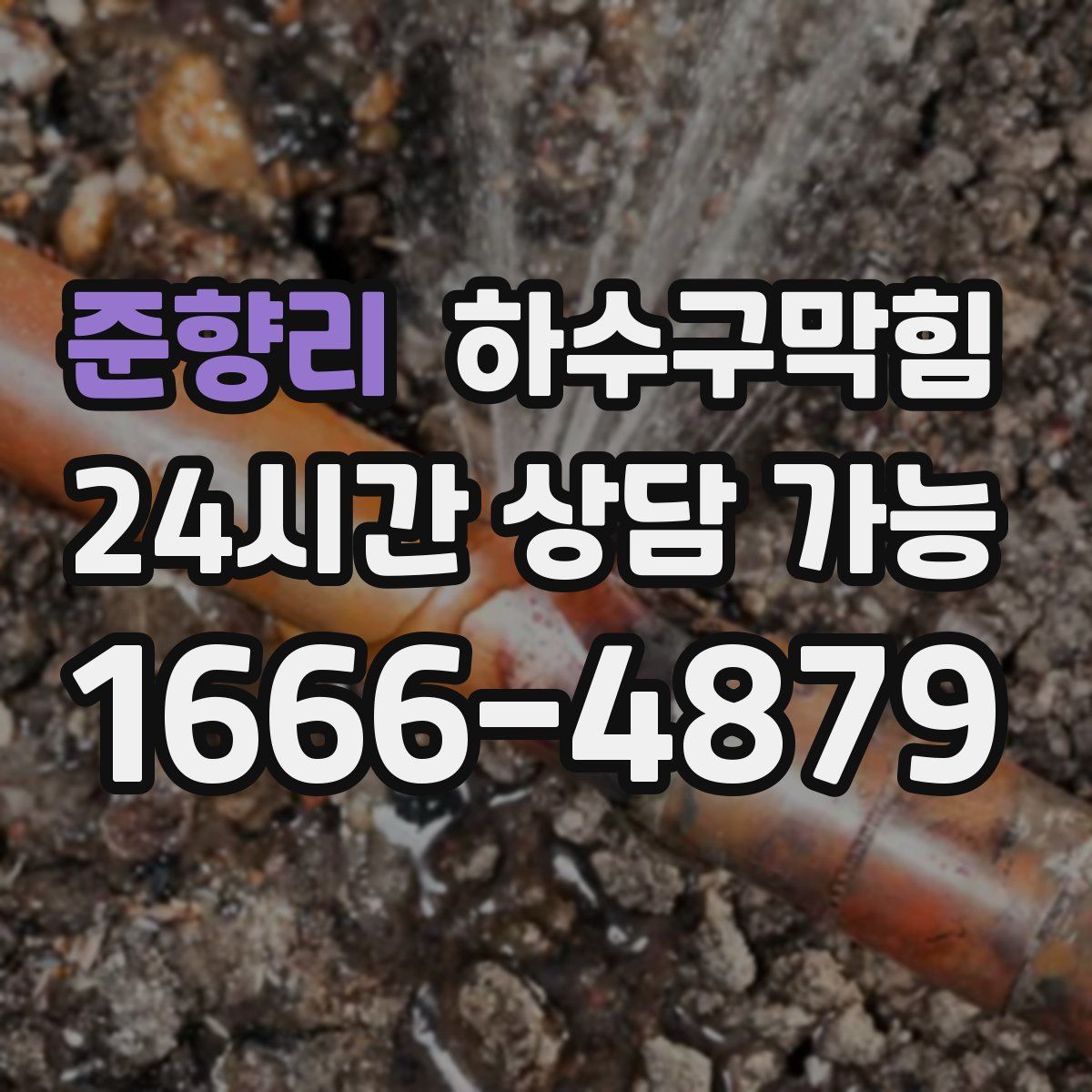 준향리 하수구막힘