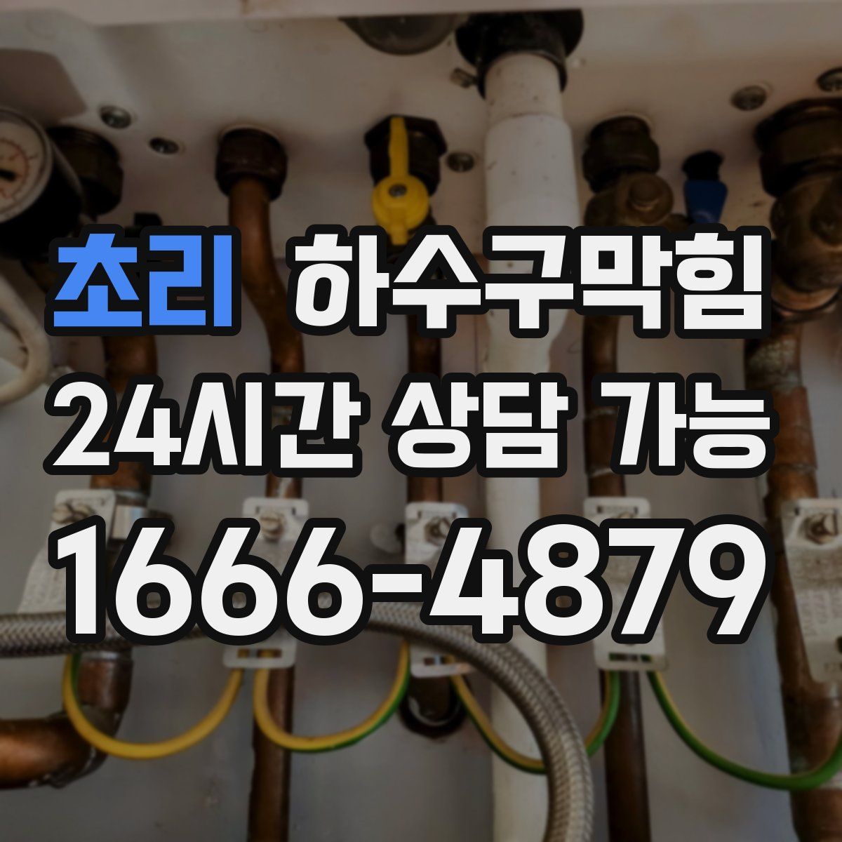 초리 하수구막힘