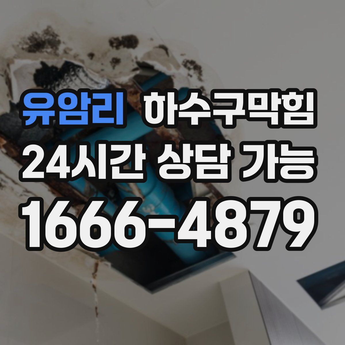 유암리 하수구막힘