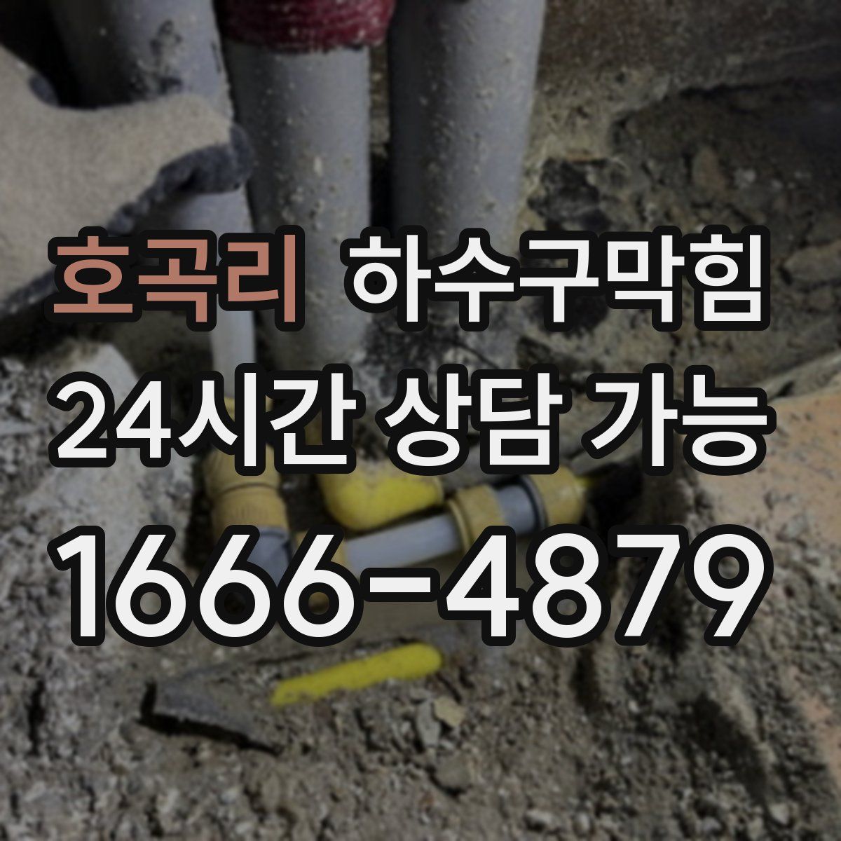 호곡리 하수구막힘