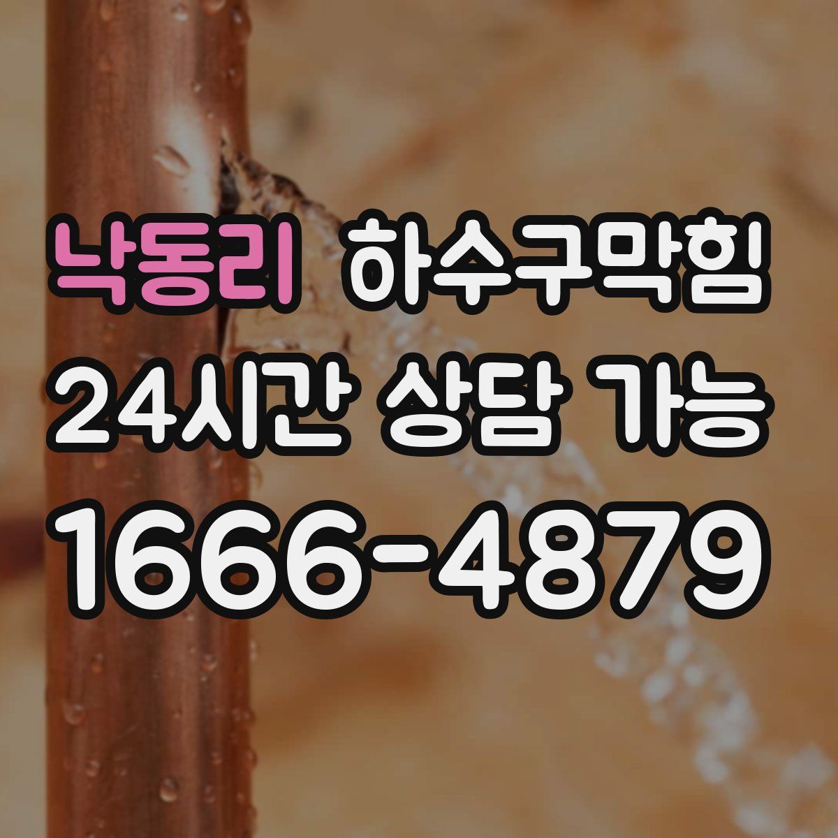 낙동리 하수구막힘