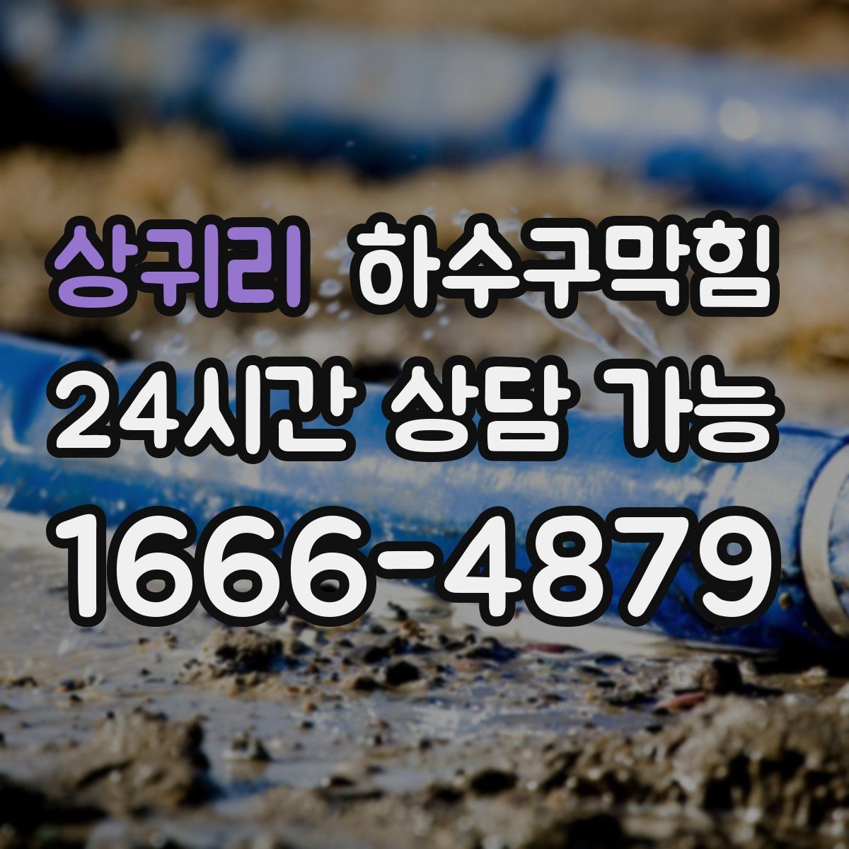 상귀리 하수구막힘