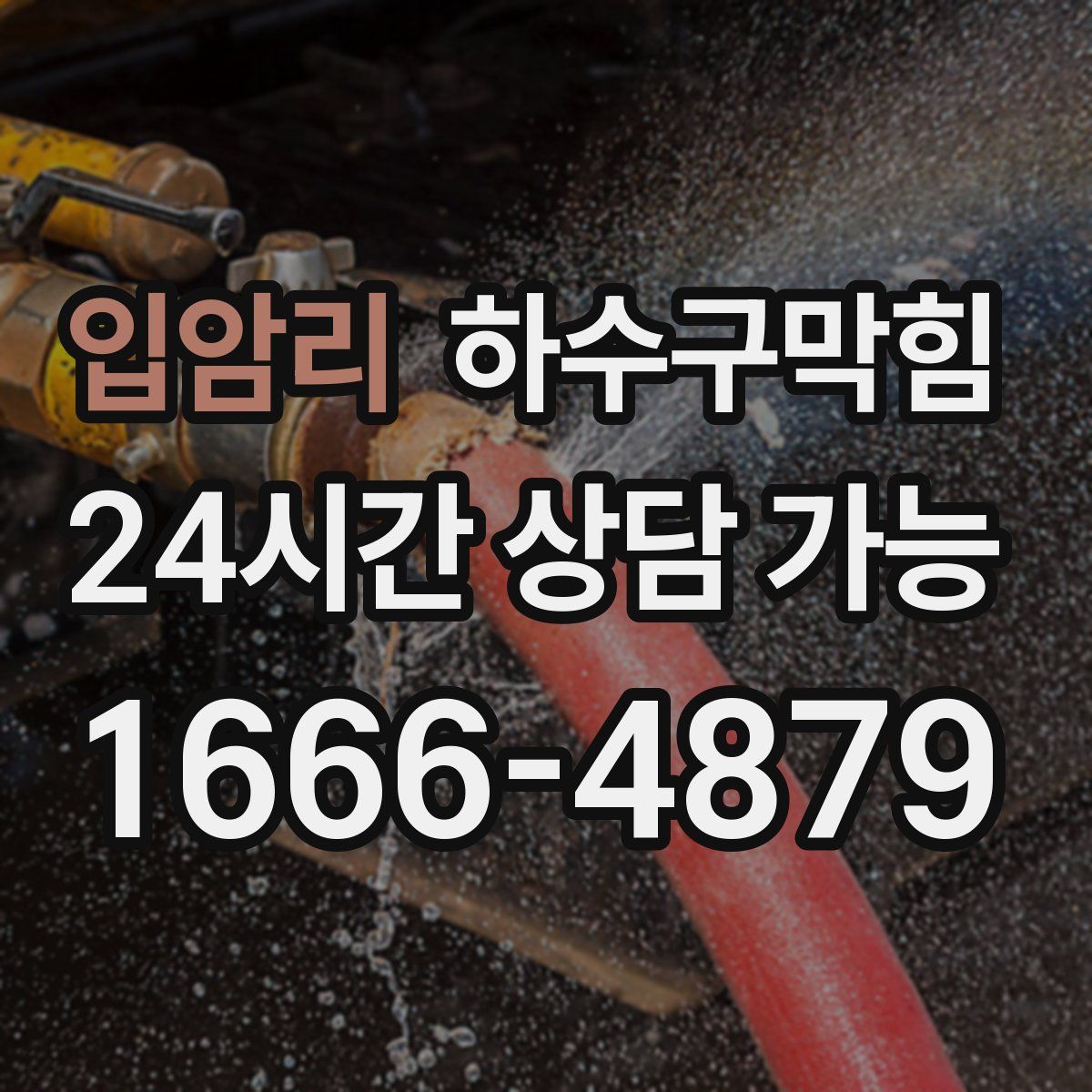 입암리 하수구막힘