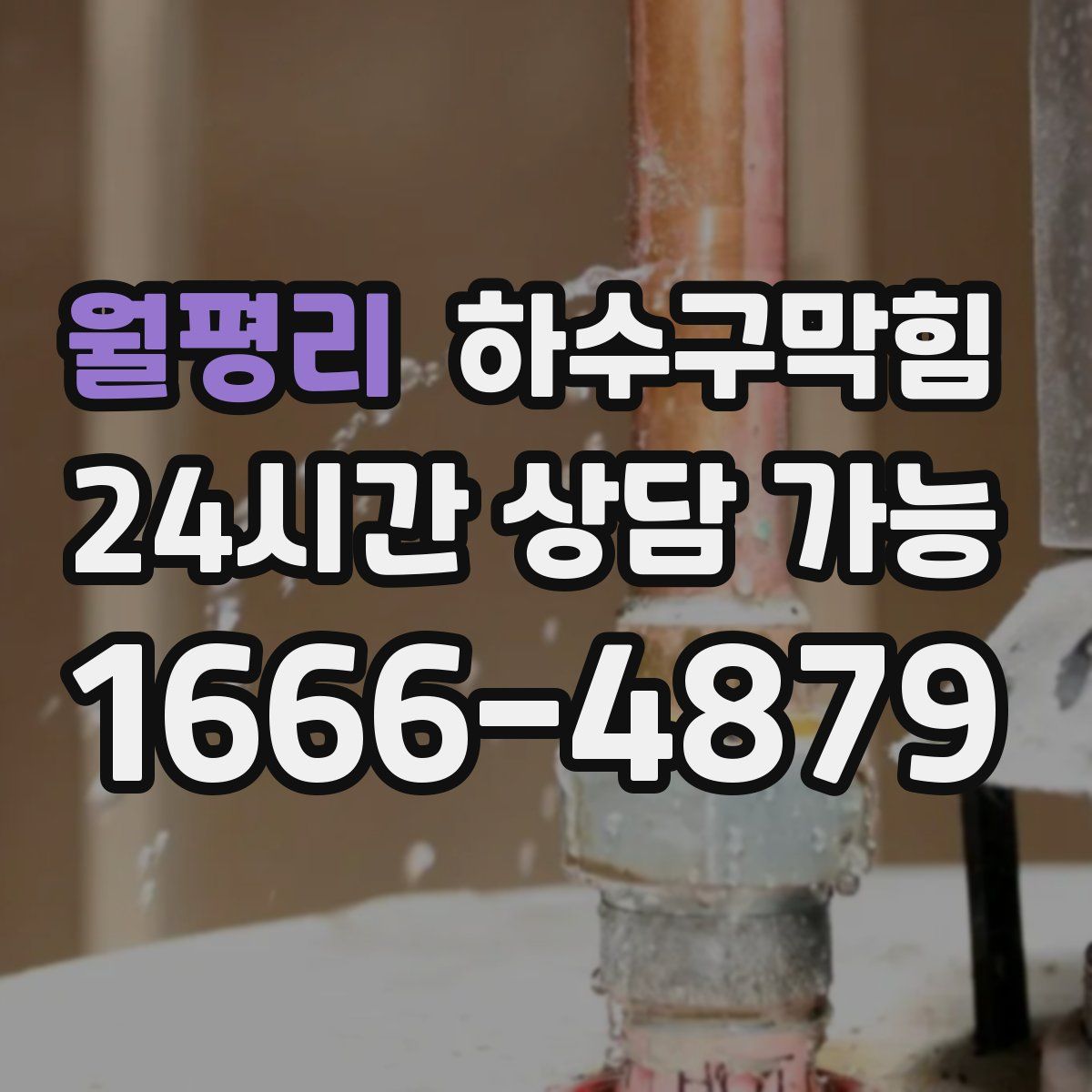 월평리 하수구막힘