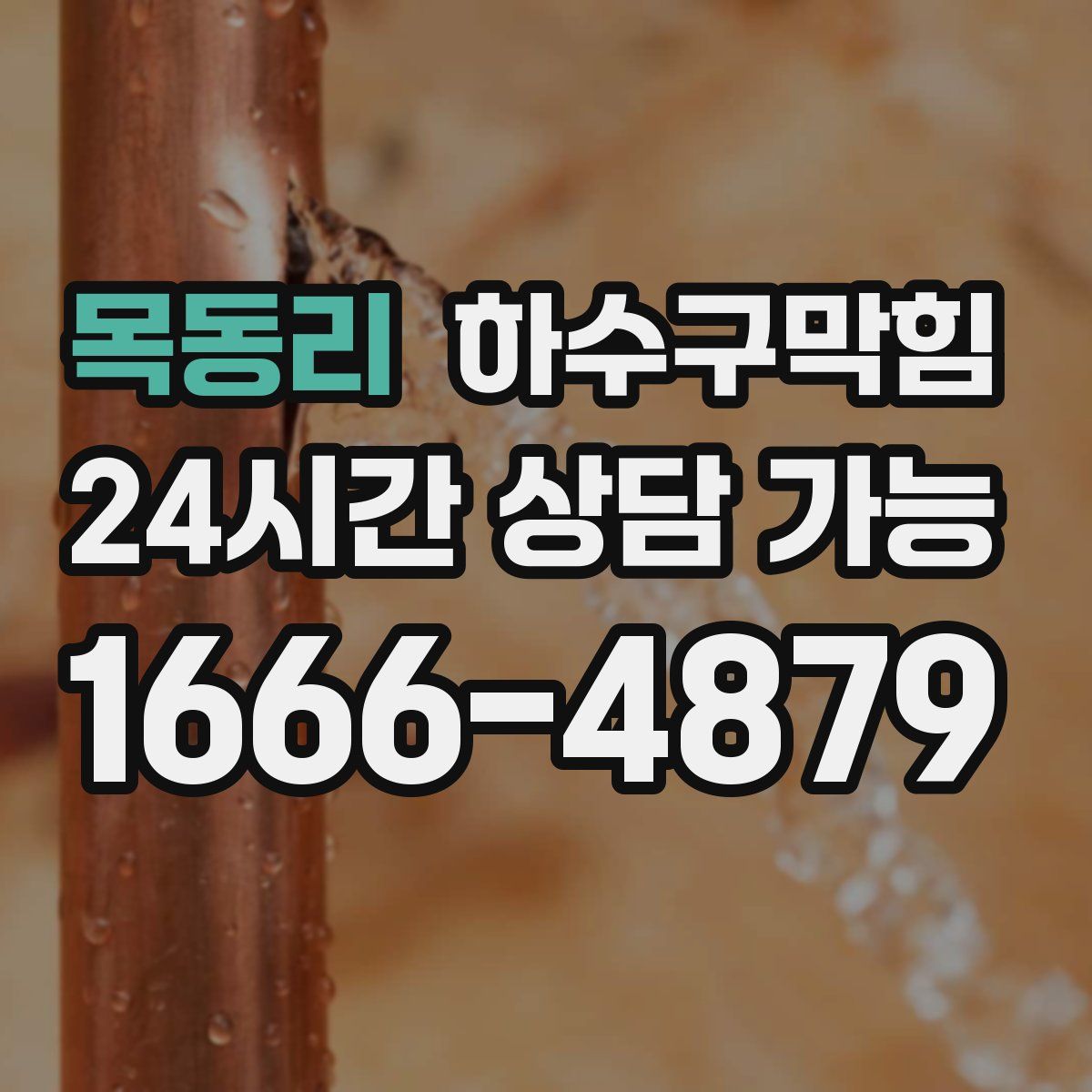 목동리 하수구막힘