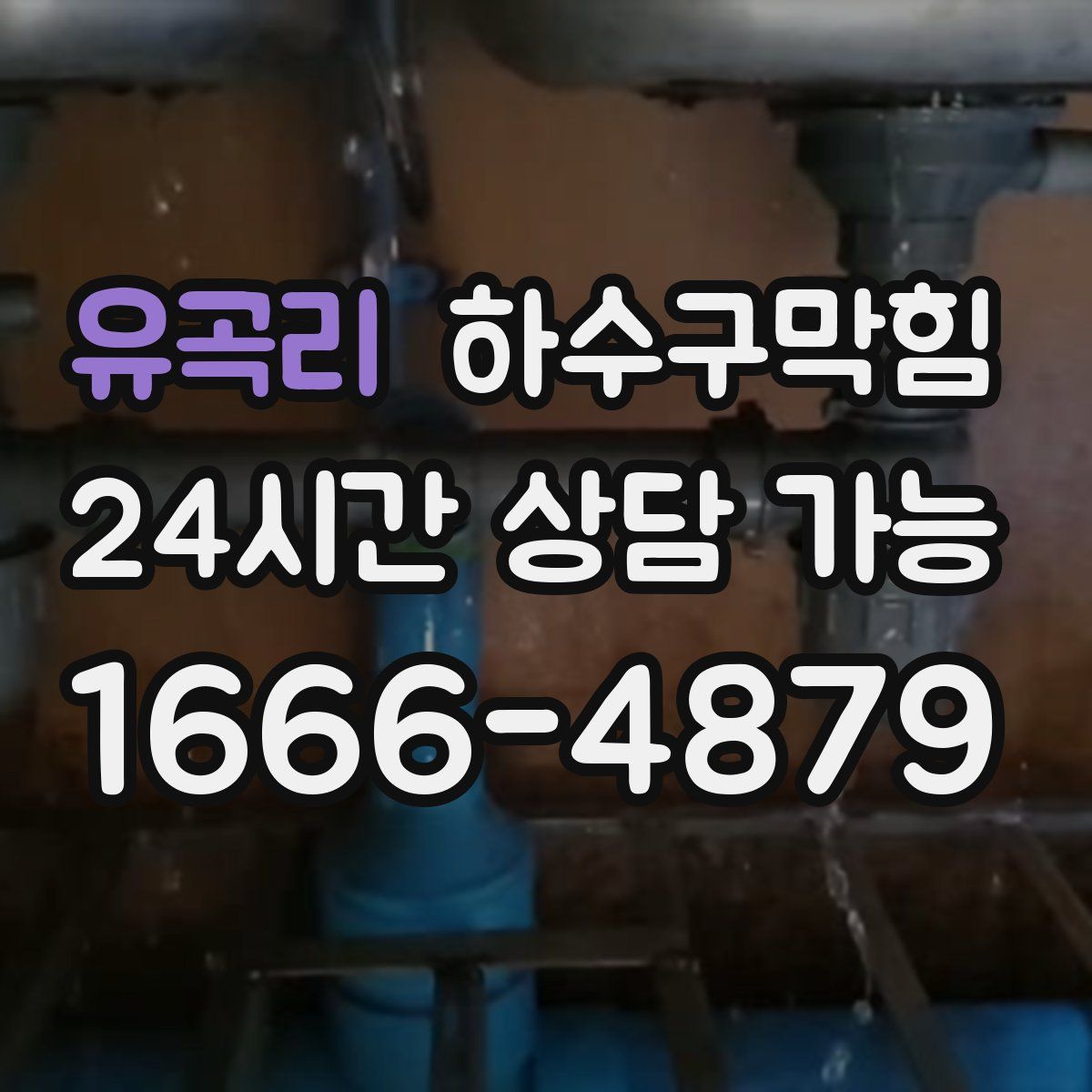 유곡리 하수구막힘