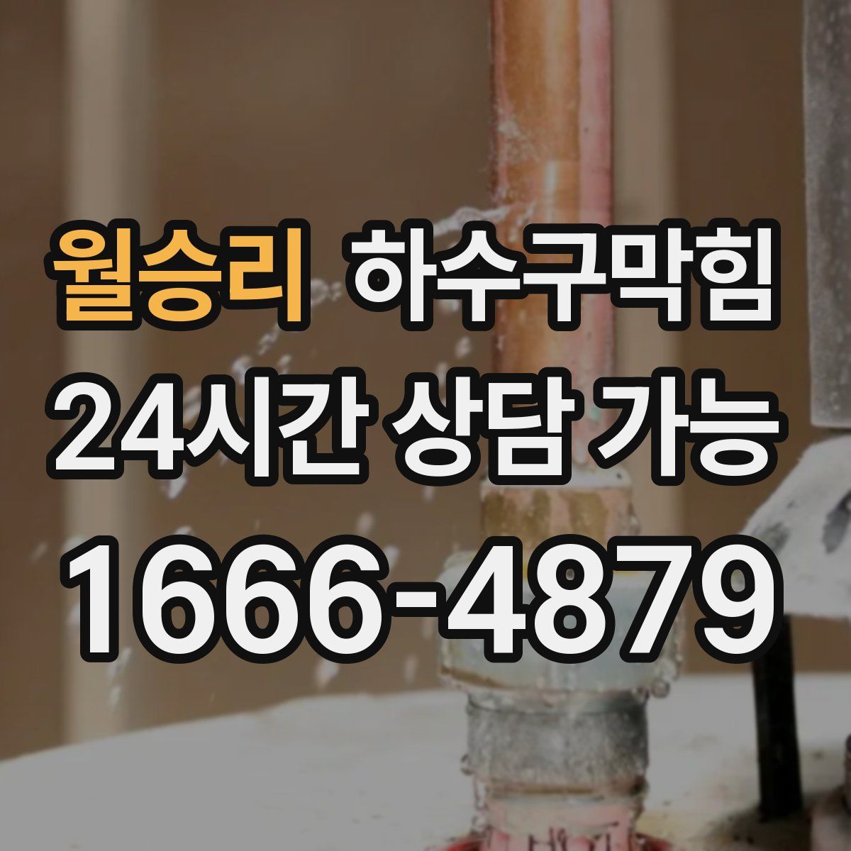 월승리 하수구막힘