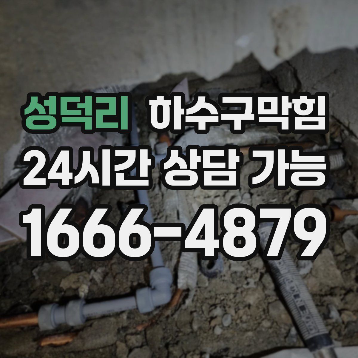 성덕리 하수구막힘