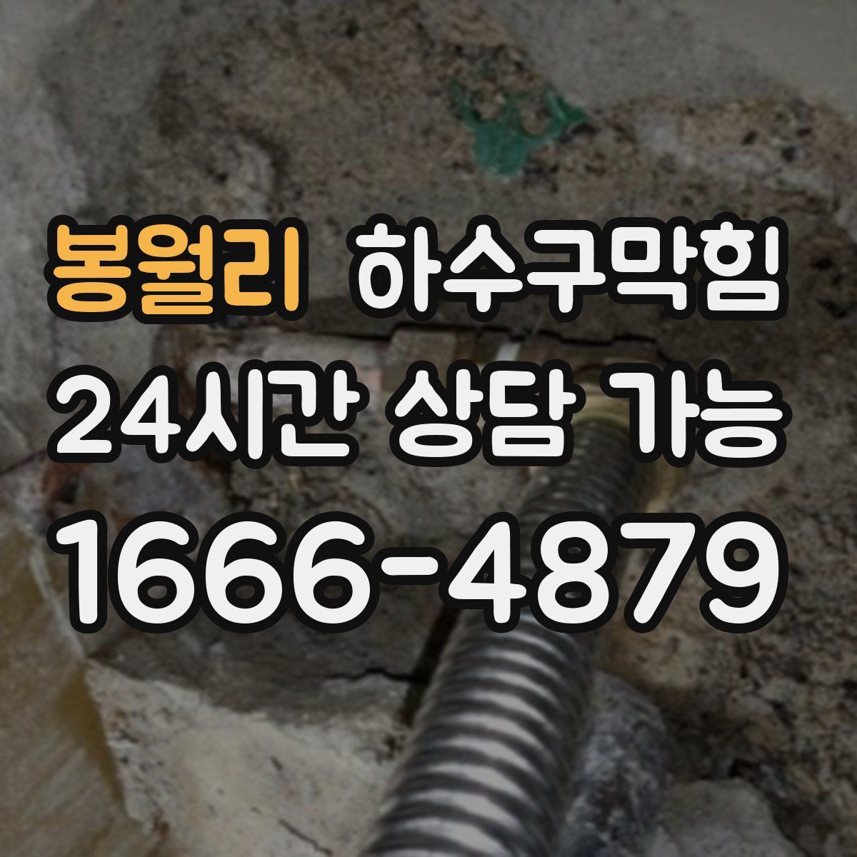 봉월리 하수구막힘