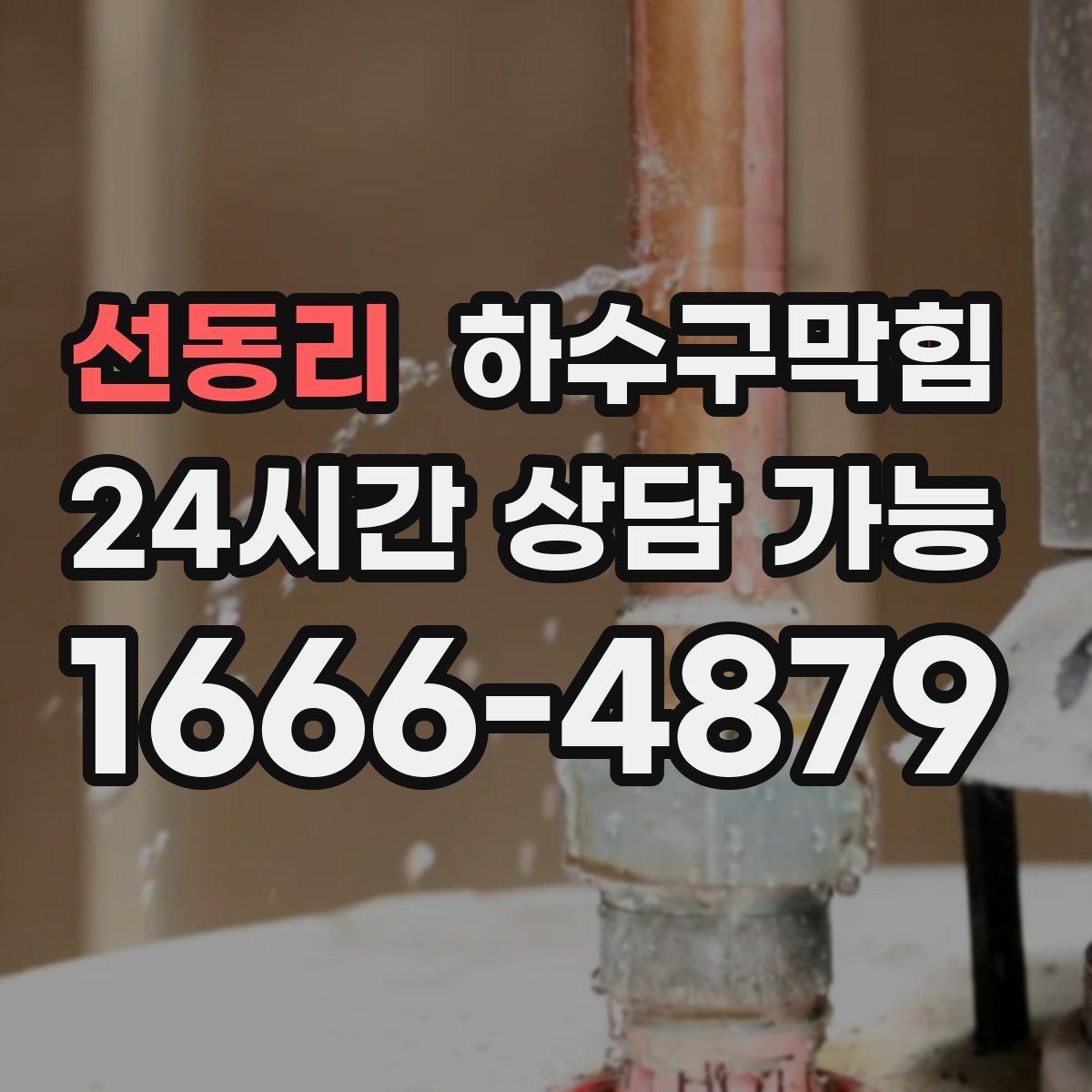 선동리 하수구막힘