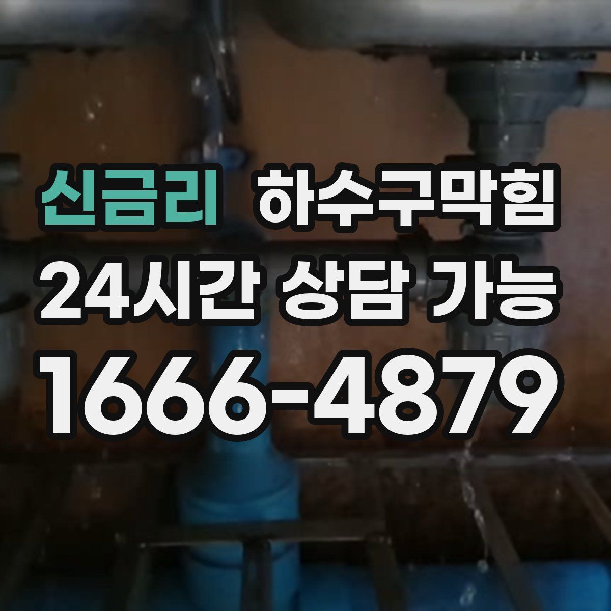 신금리 하수구막힘