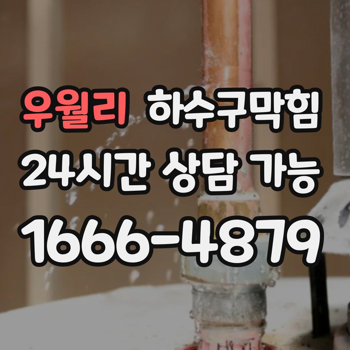 우월리 하수구막힘