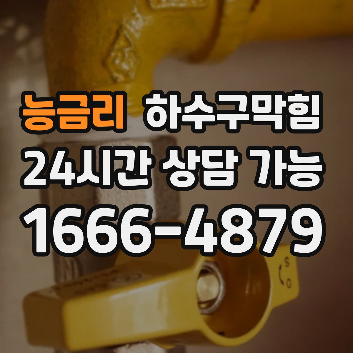 능금리 하수구막힘