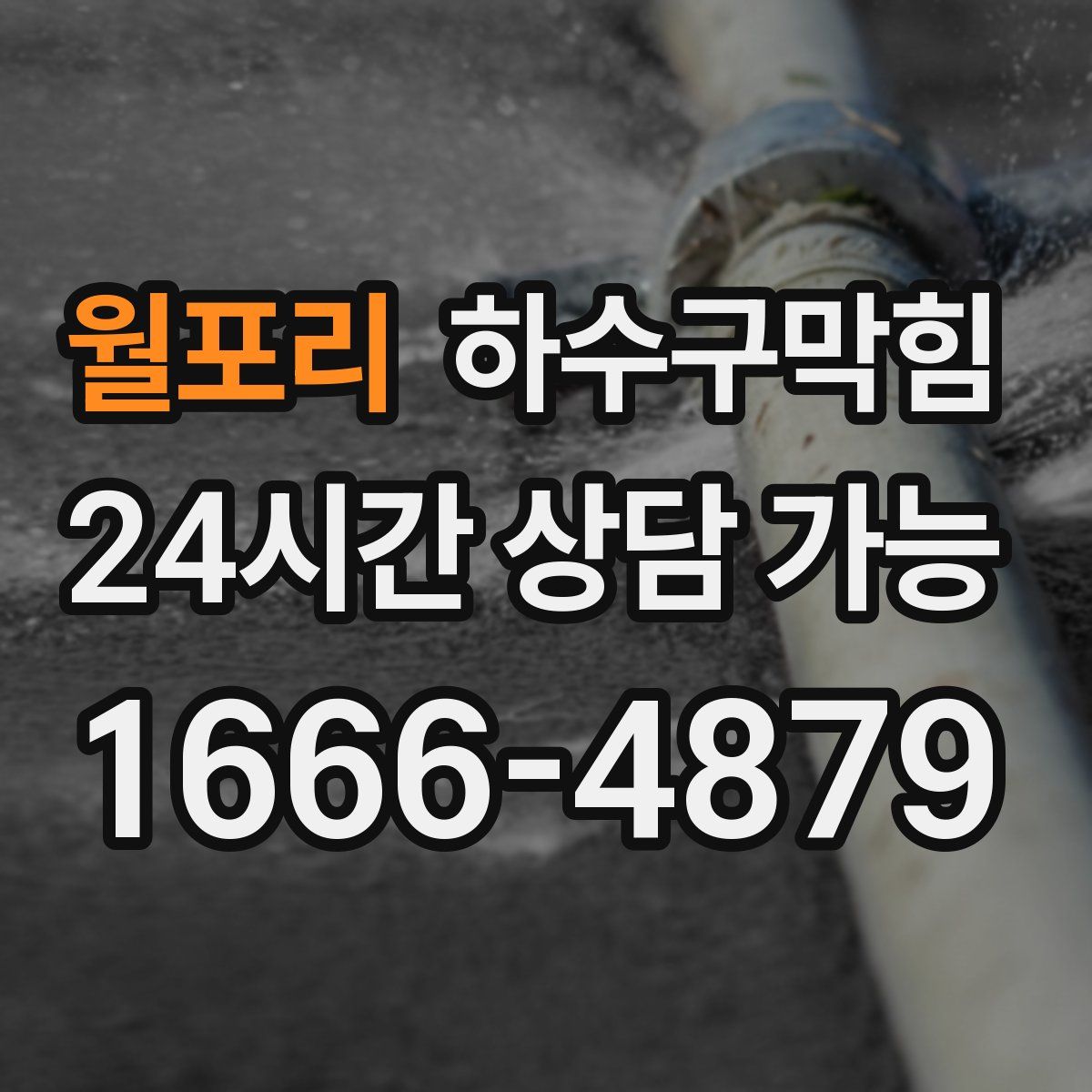 월포리 하수구막힘