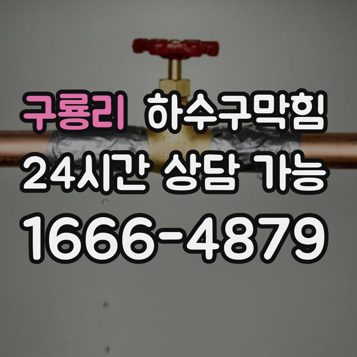 구룡리 하수구막힘