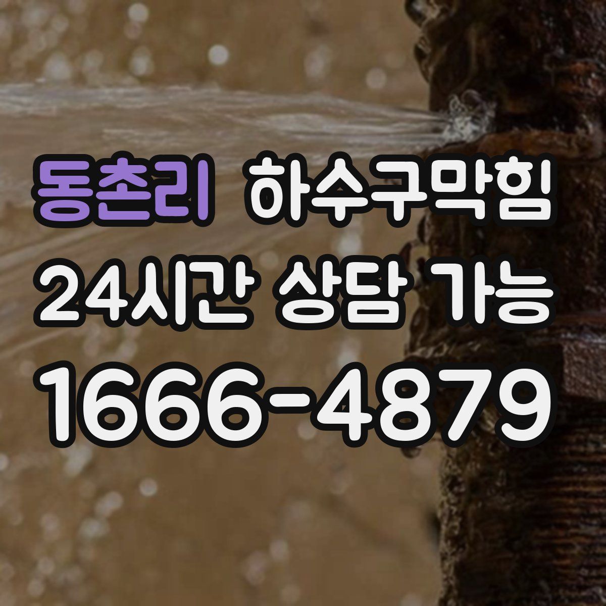 동촌리 하수구막힘