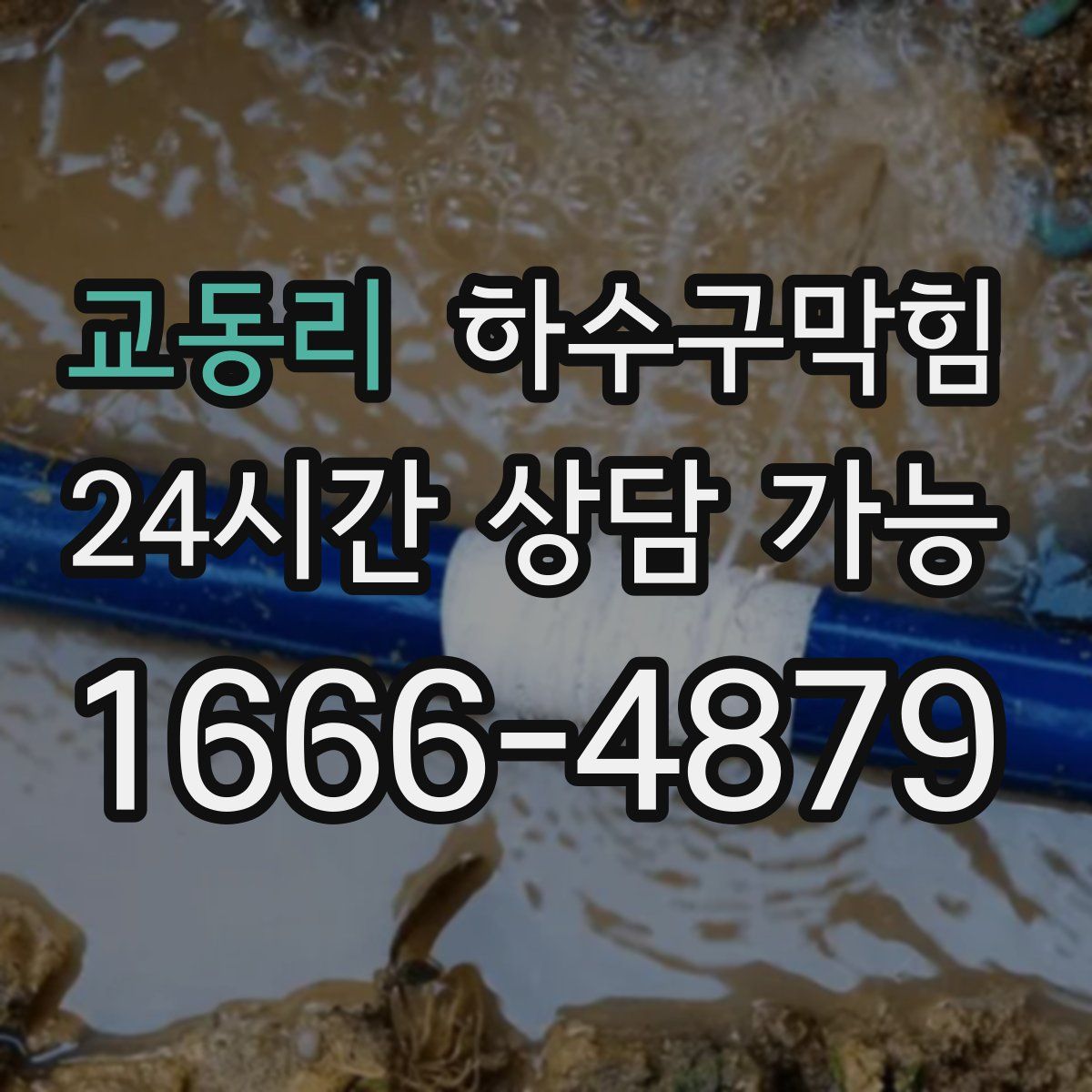 교동리 하수구막힘