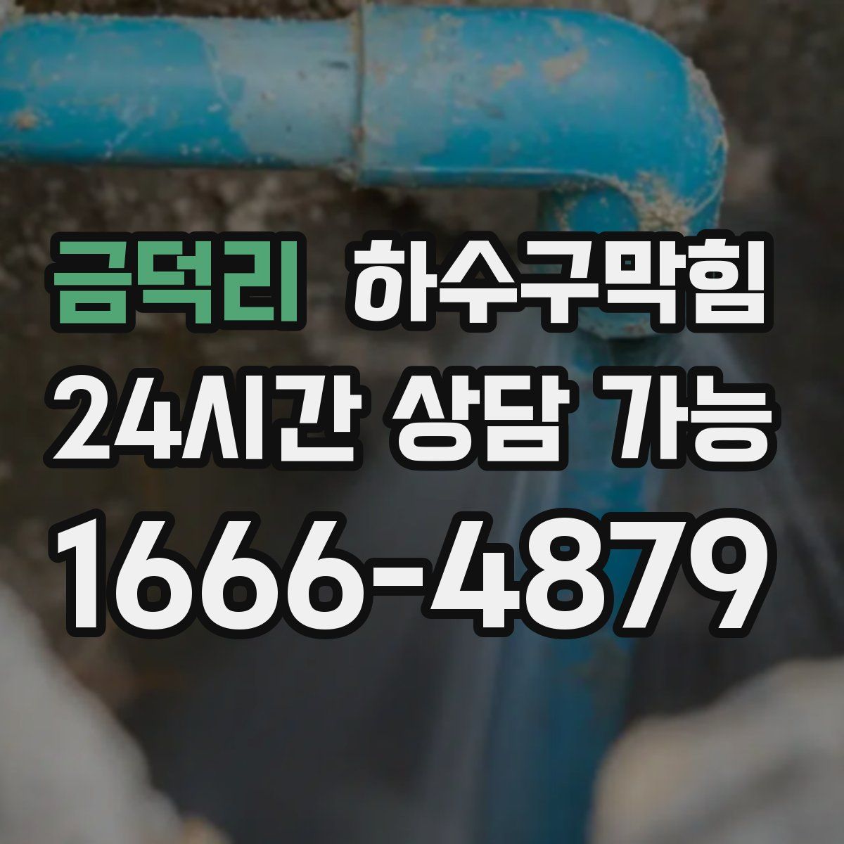 금덕리 하수구막힘