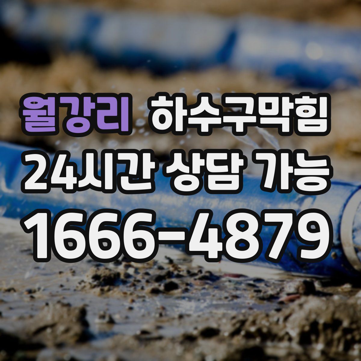 월강리 하수구막힘