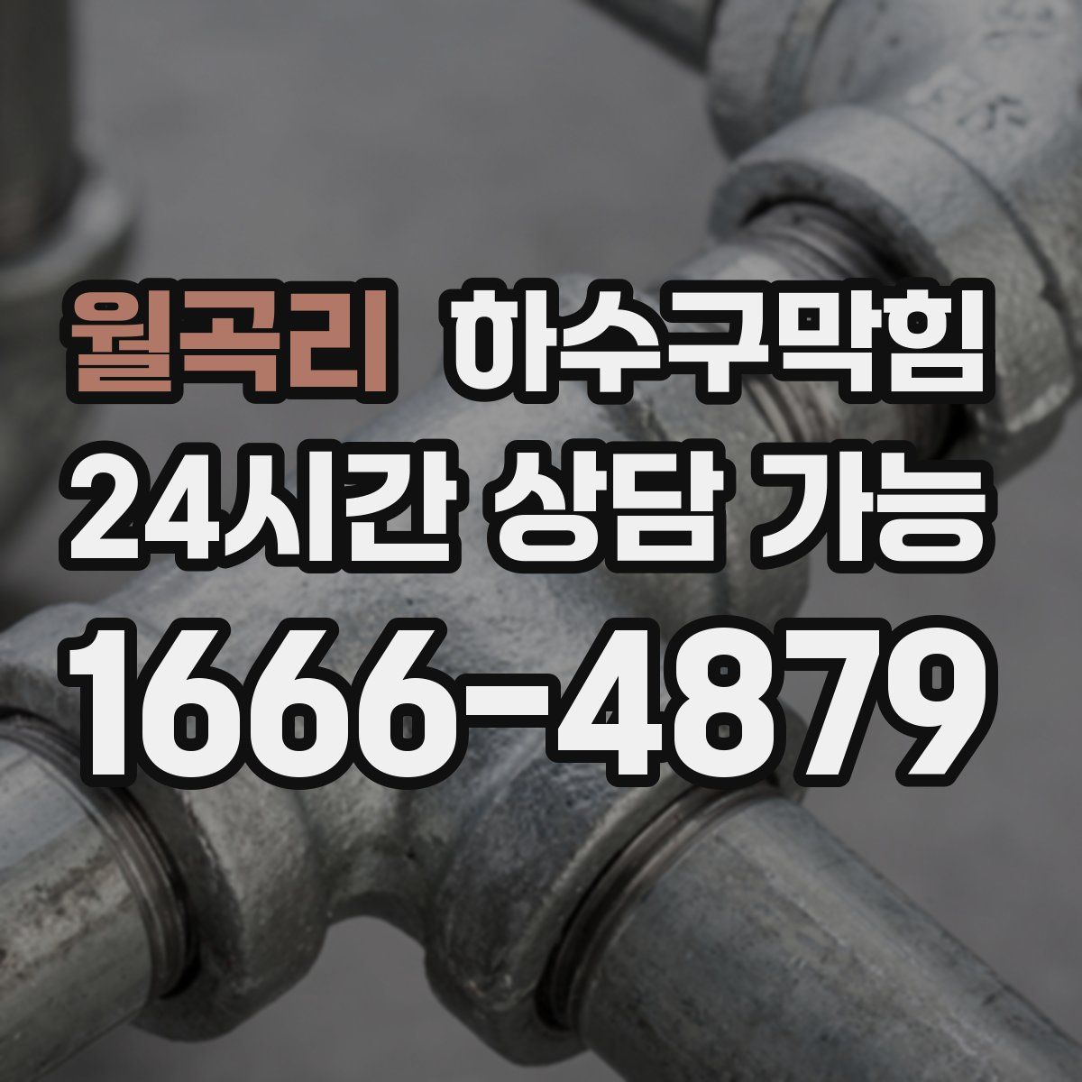 월곡리 하수구막힘