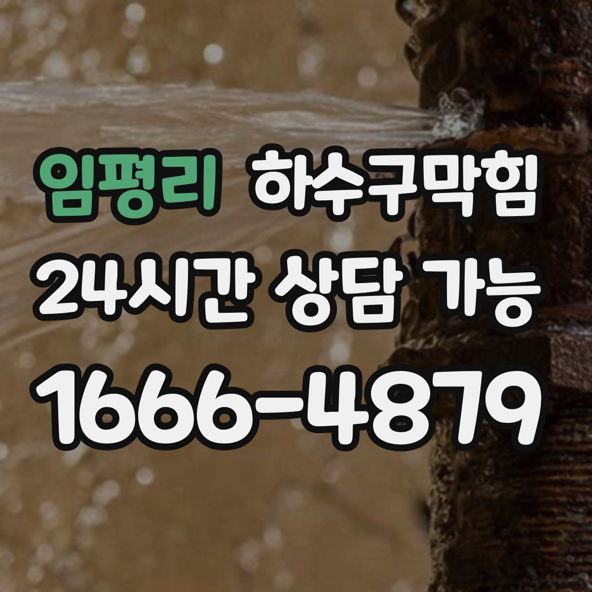 임평리 하수구막힘