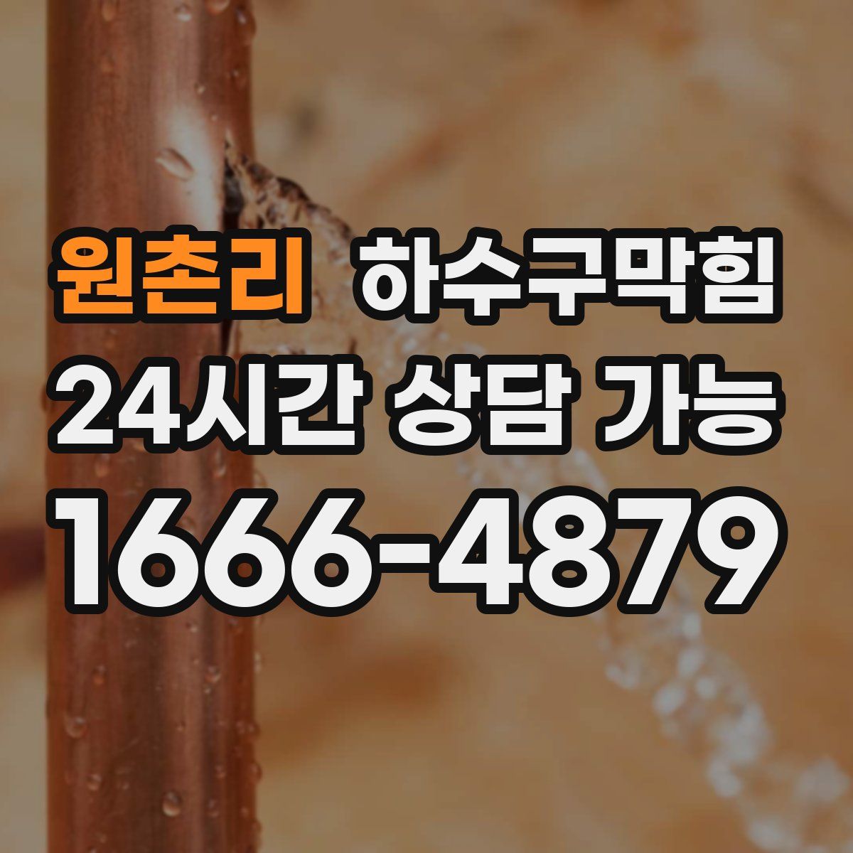 원촌리 하수구막힘