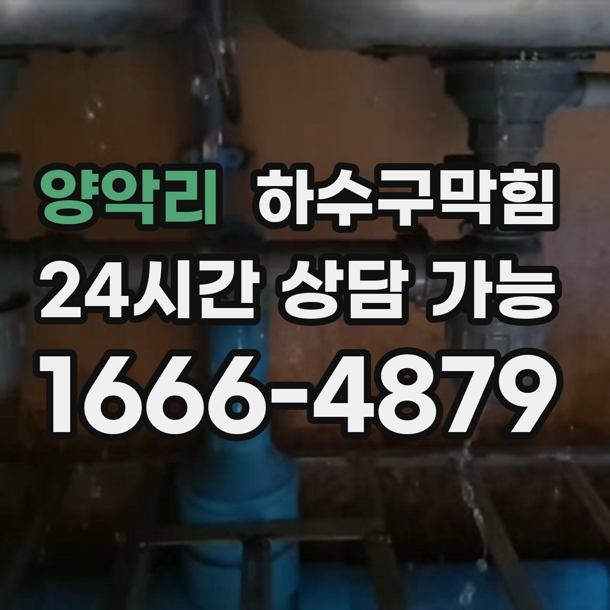 양악리 하수구막힘