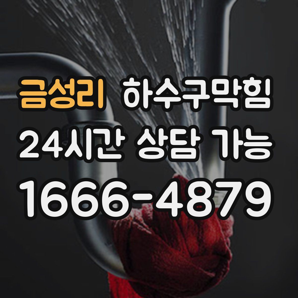 금성리 하수구막힘