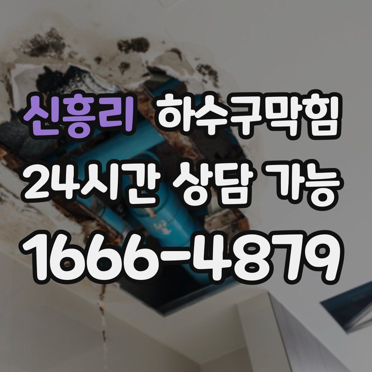 신흥리 하수구막힘