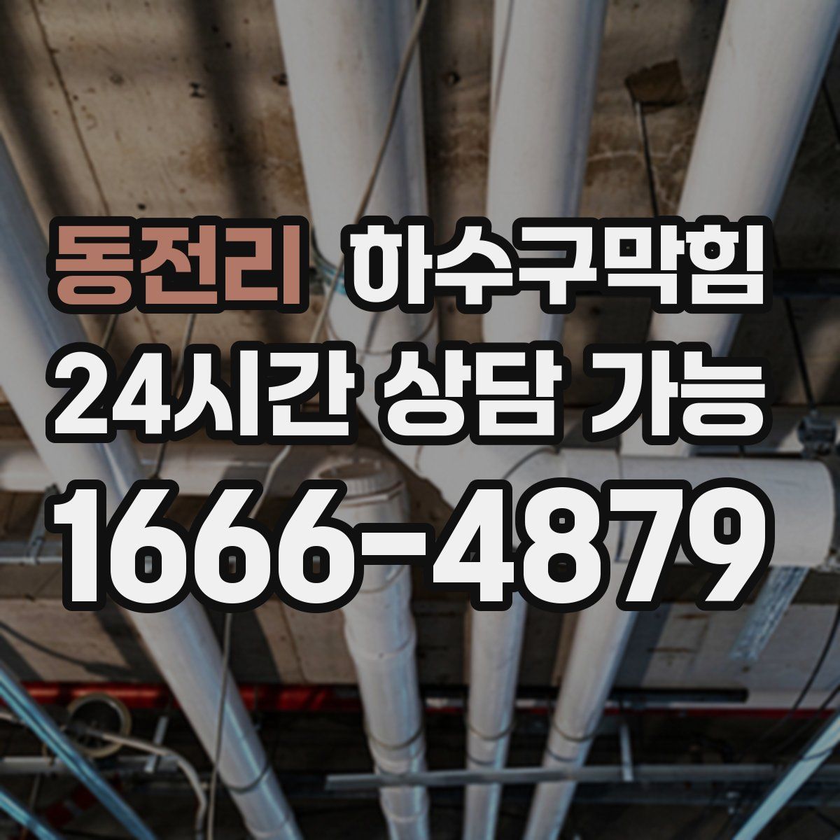 동전리 하수구막힘