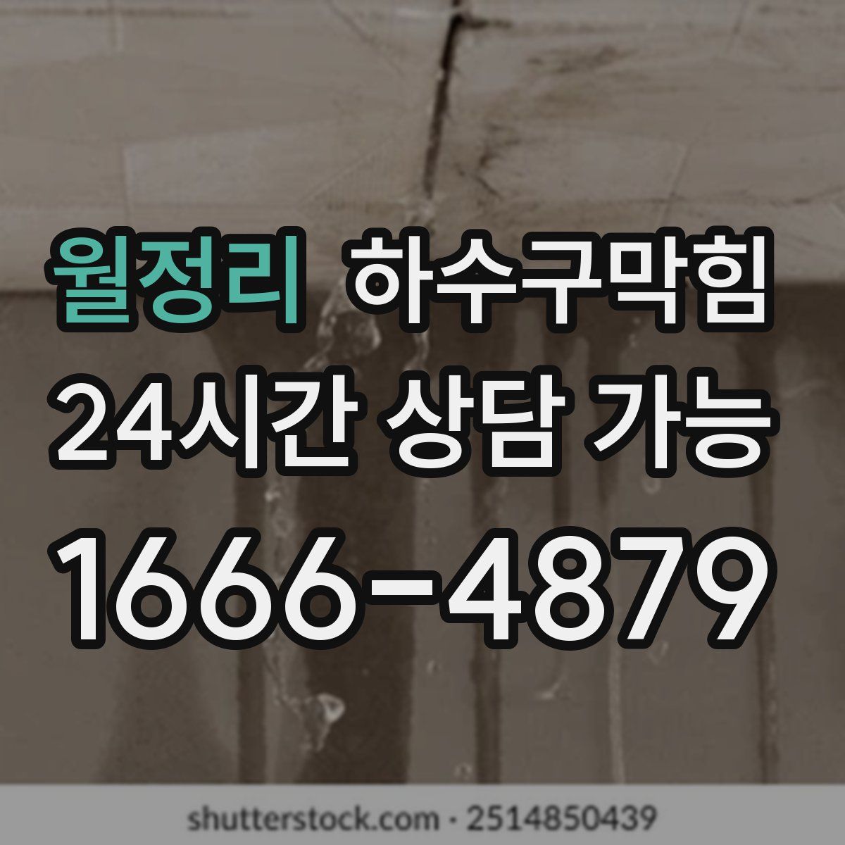 월정리 하수구막힘