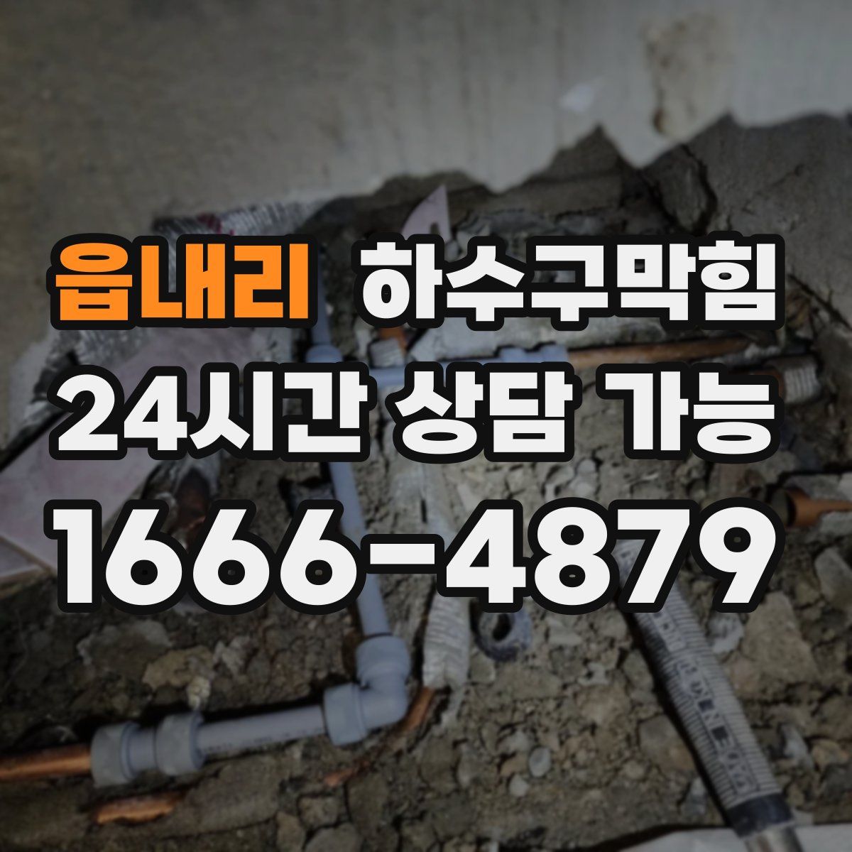 읍내리 하수구막힘