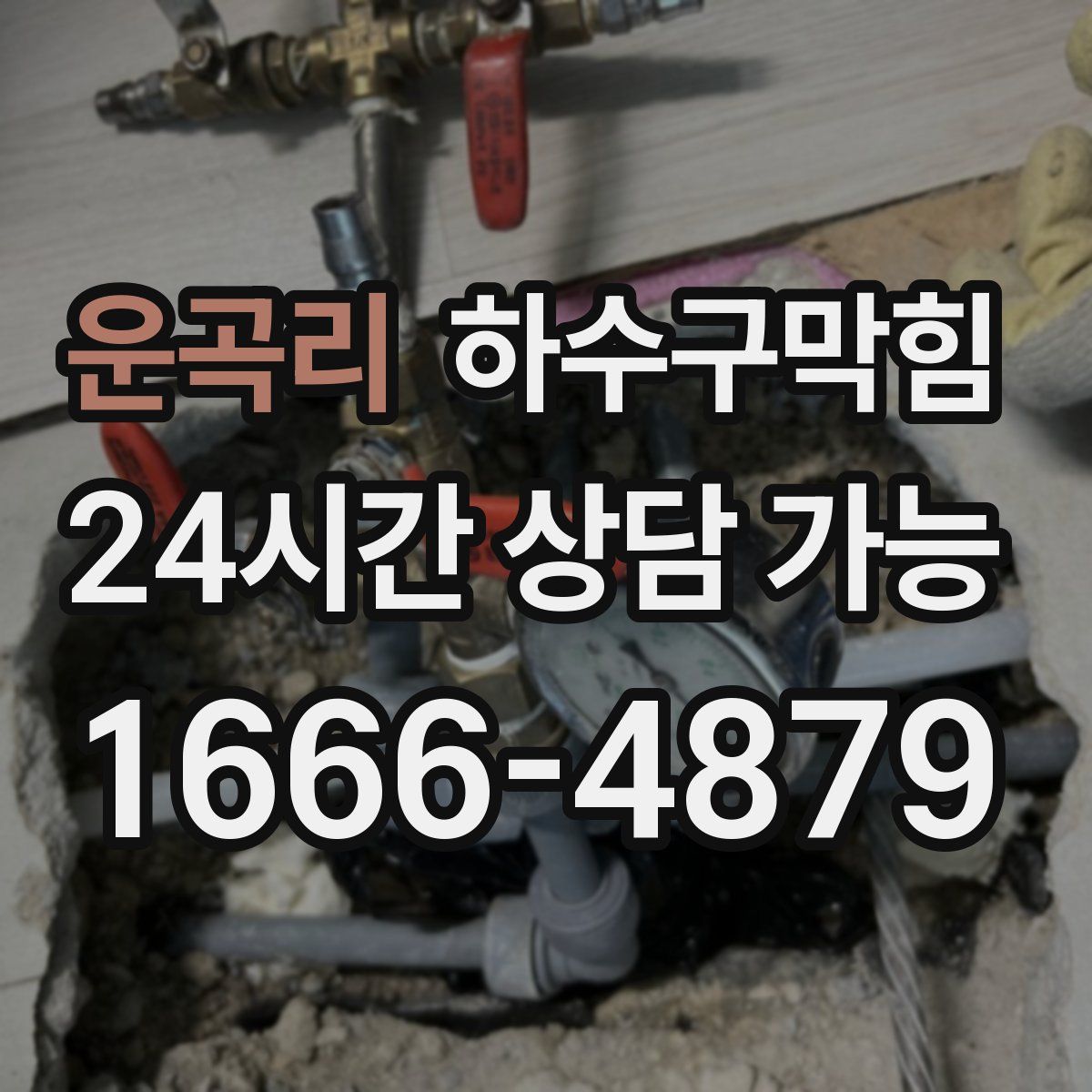 운곡리 하수구막힘