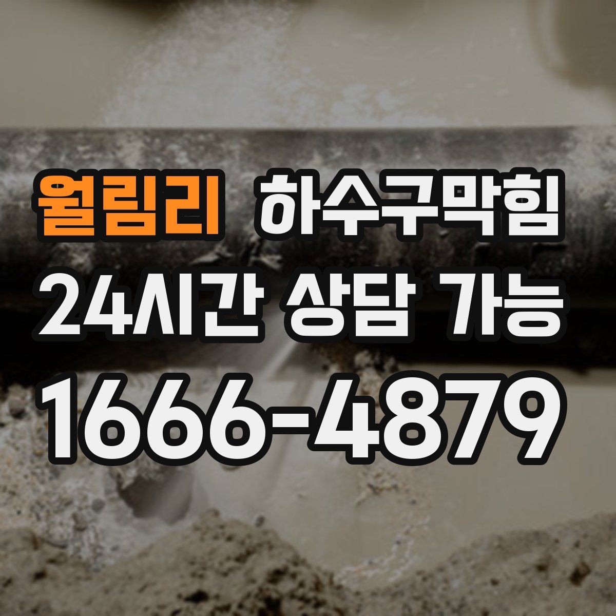 월림리 하수구막힘