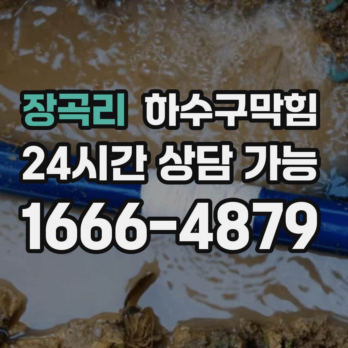 장곡리 하수구막힘