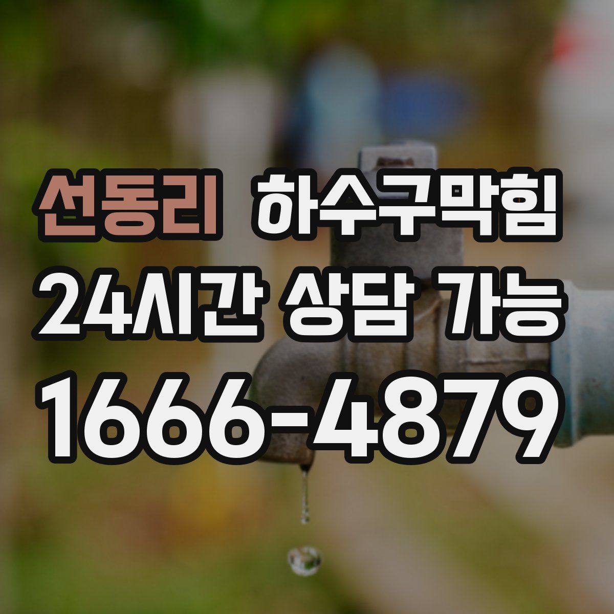 선동리 하수구막힘