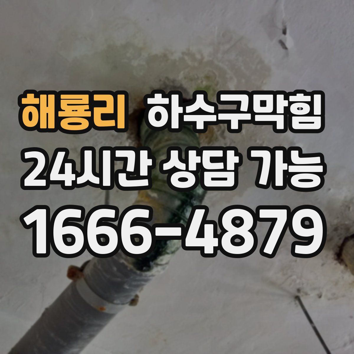 해룡리 하수구막힘