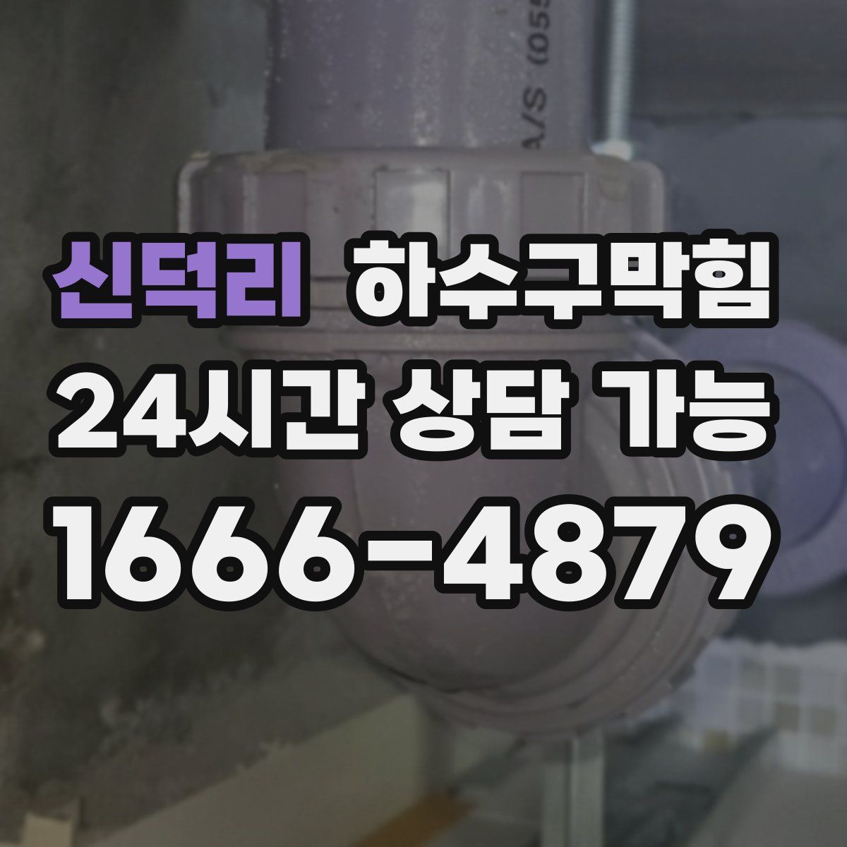 신덕리 하수구막힘